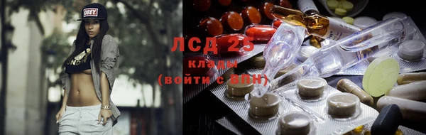 гашик Алзамай