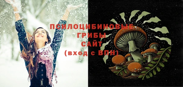 гашик Алзамай