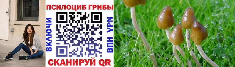 Псилоцибиновые грибы ЛСД  мега ссылка  Евпатория  купить  